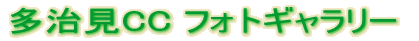 ������CC �t�H�g�M�������[ 