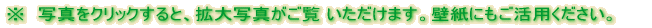 �N���u�n�E�X�Љ�